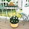 15in. UV Resistant Artificial Boxwood and Gardenia Topiary Plant (Indoor/Outdoor)